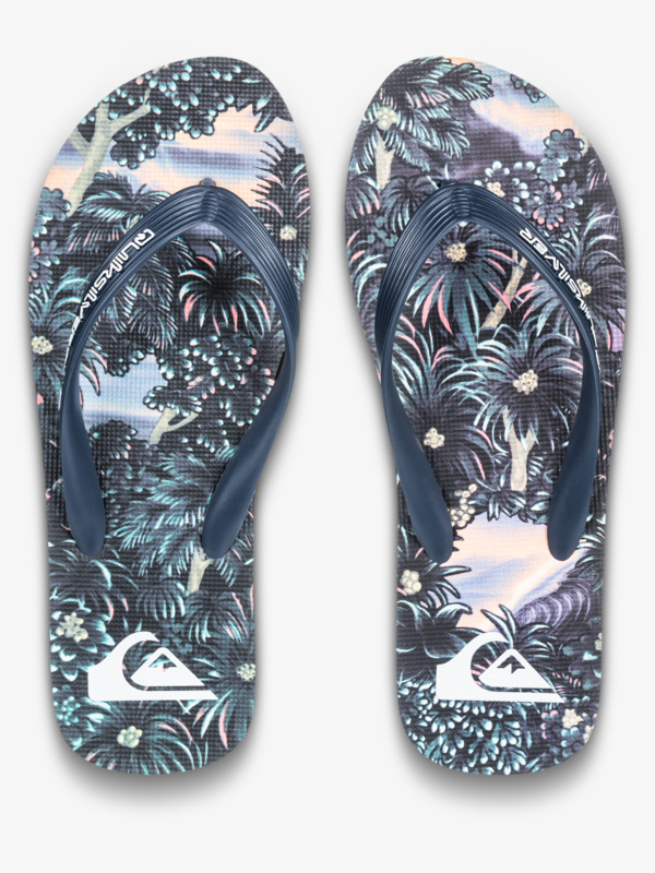Molokai Art 25 - Flip-Flops for Men  AQYL101430