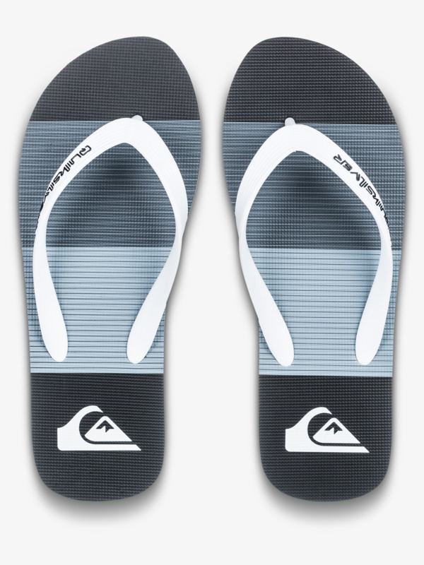 Molokai Art 25 - Flip-Flops for Men  AQYL101430