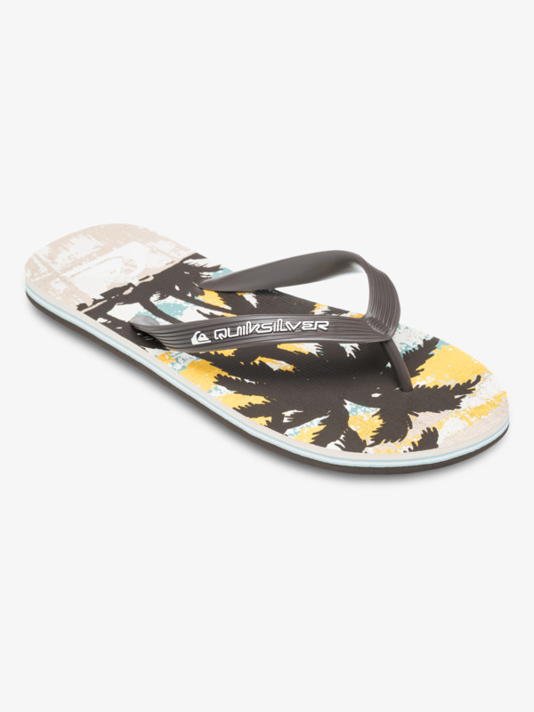 Molokai Art 25 - Flip-Flops for Men  AQYL101430