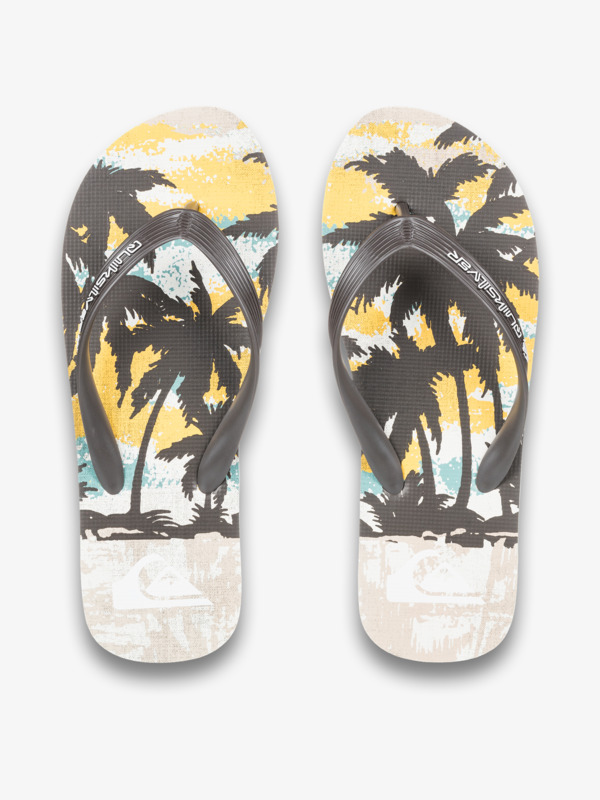 Molokai Art 25 - Flip-Flops for Men  AQYL101430