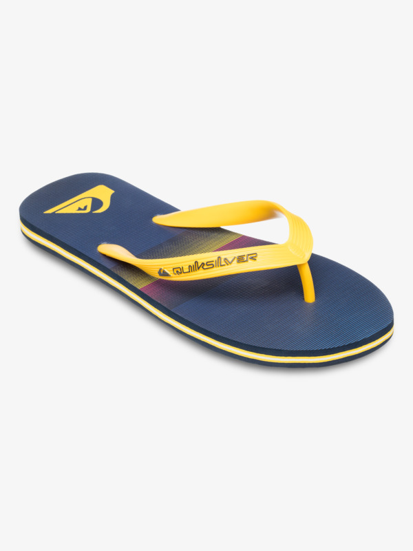 Molokai Stripe 25 - Flip-Flops for Men  AQYL101431