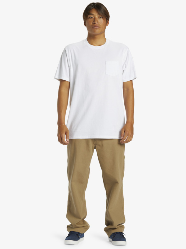 Saltwater  AQYZT09558