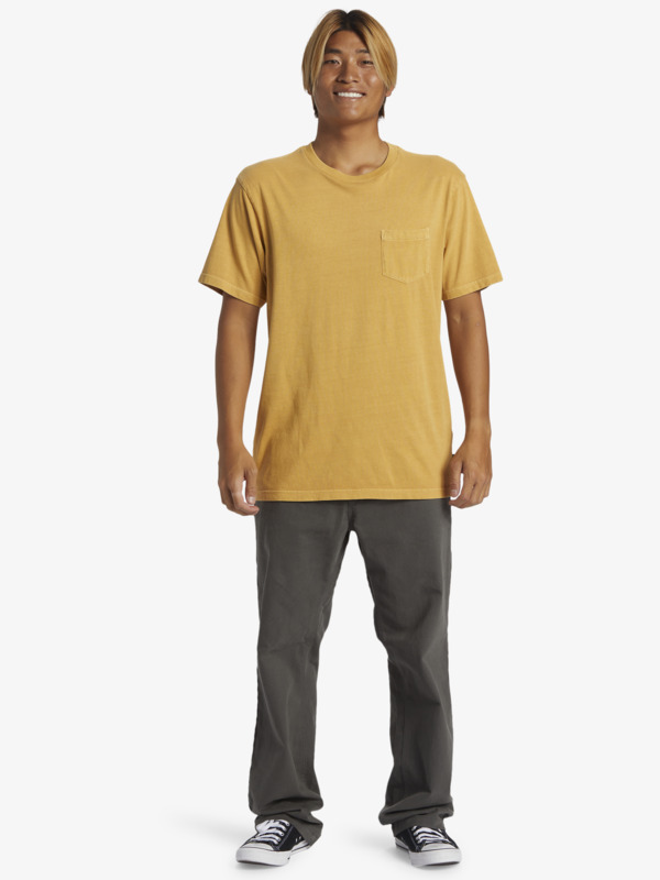 Saltwater  AQYZT09558