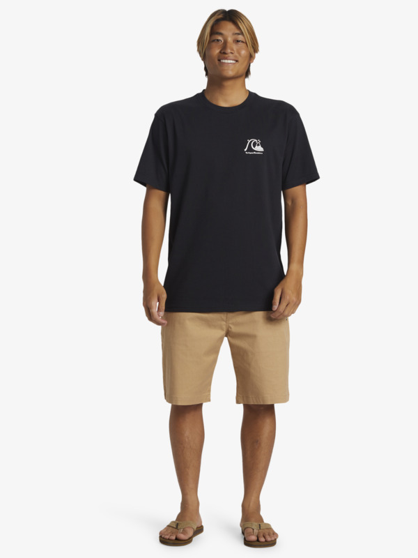 The Original  AQYZT09560