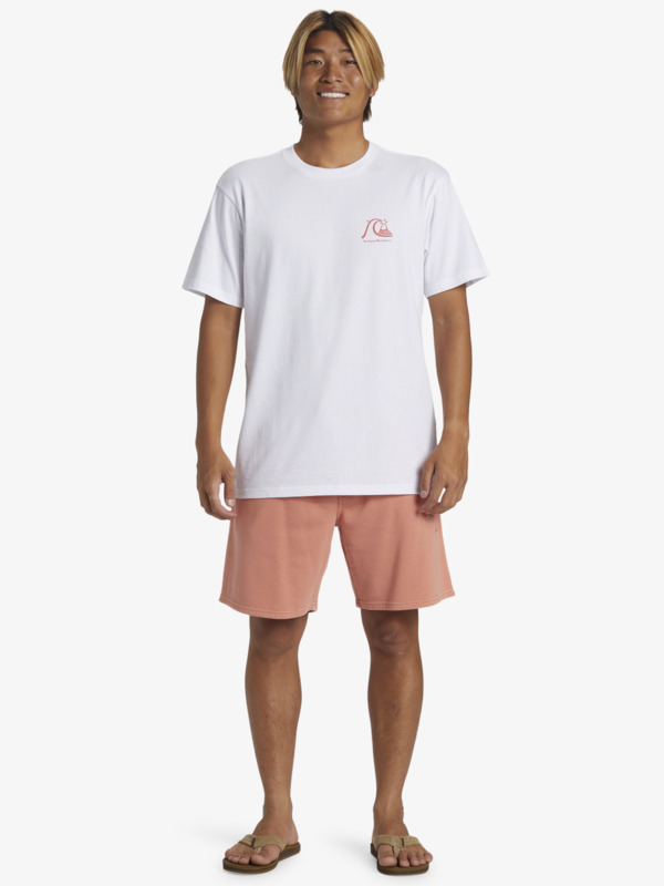 The Original  AQYZT09560