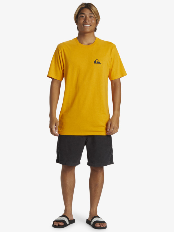 QS Comp  AQYZT09600