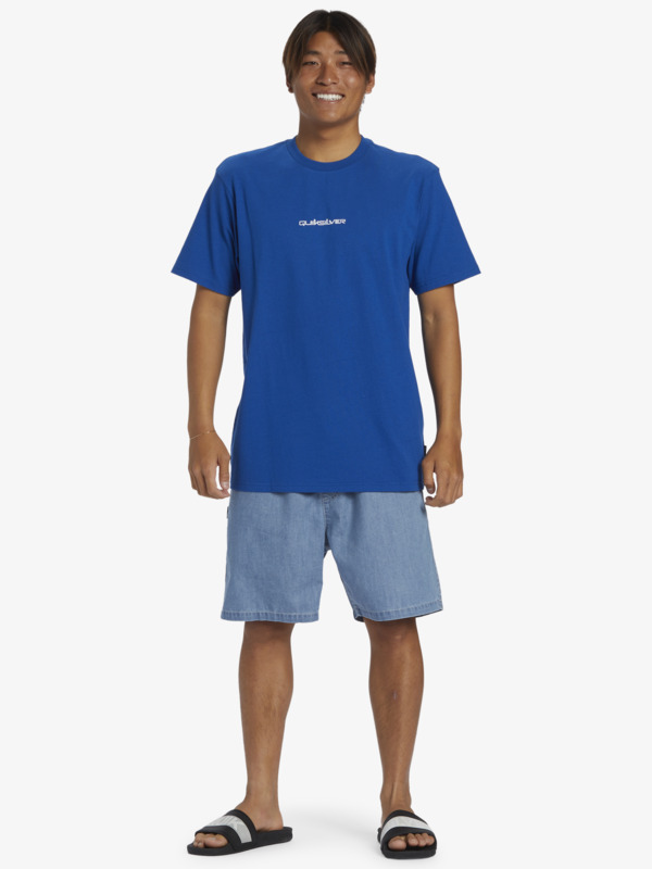QS Omni  AQYZT09601