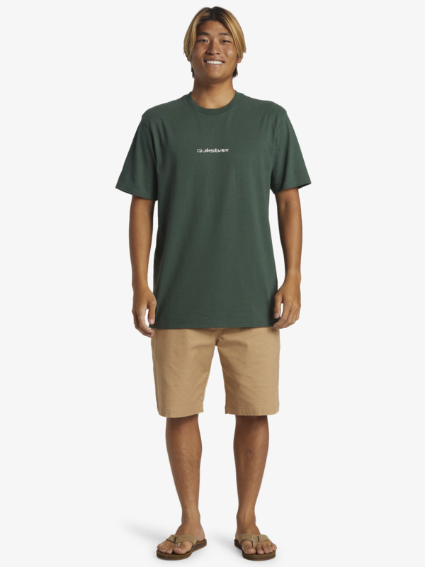 QS Omni  AQYZT09601