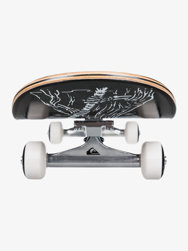 Dramons 8.25" - Complete Skateboard for Men  EGL021DM82