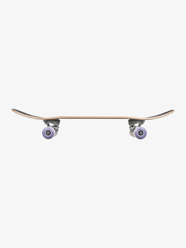 Flashback 8.25" - Complete Skateboard for Men  EGL22FBK82