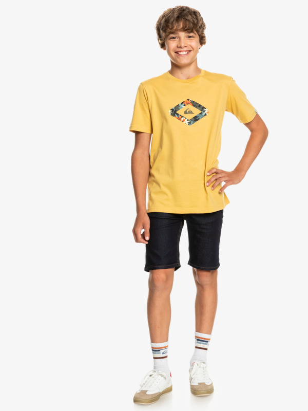 Modern Flave Rinse - Denim Shorts for Boys 8-16 EQBDS03063