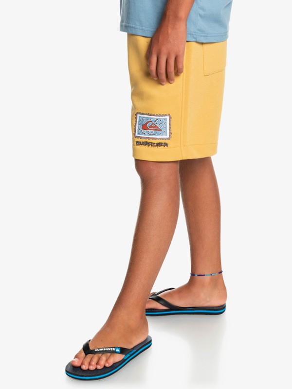 Stir Roots Up 17" - Tracksuit Shorts for Boys EQBFB03125