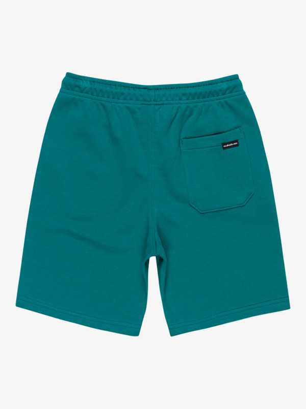 Easy Day - Elastic Waist Shorts for Boys 8 - 16  EQBFB03174