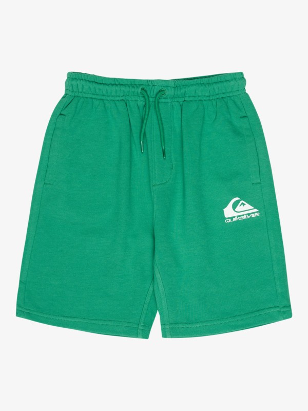 Easy Day - Elastic Waist Shorts for Boys 8 - 16  EQBFB03174
