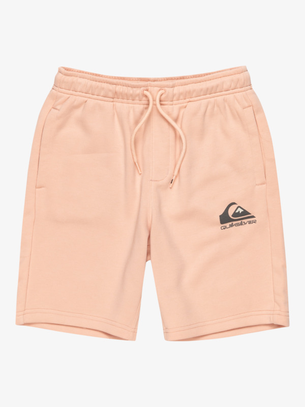 Easy Day - Elastic Waist Shorts for Boys 8 - 16  EQBFB03174