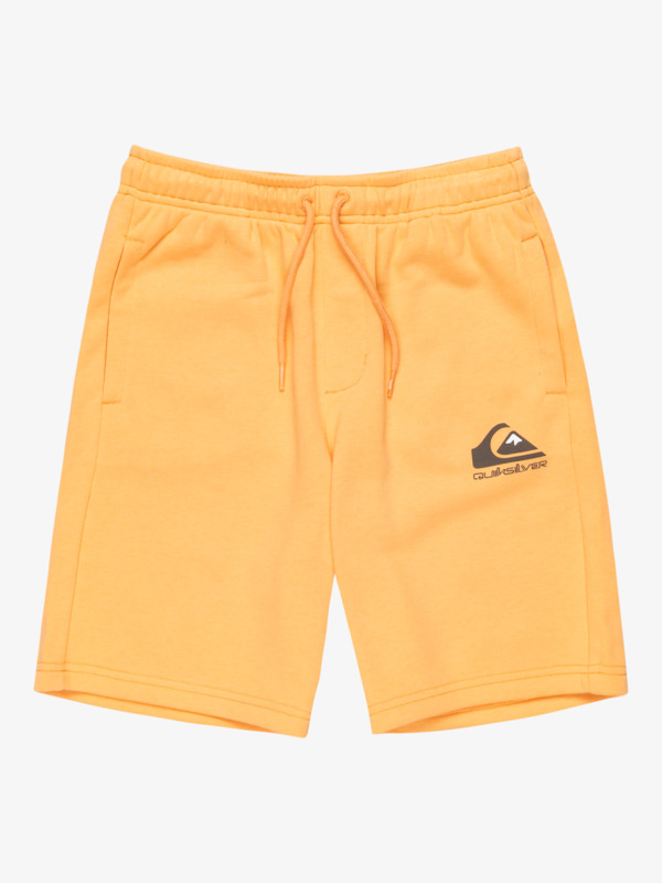 Easy Day - Elastic Waist Shorts for Boys 8 - 16  EQBFB03174