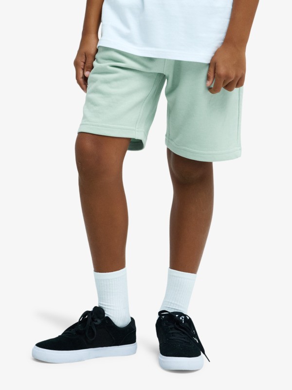 Easy Day - Elastic Waist Shorts for Boys 8 - 16  EQBFB03174