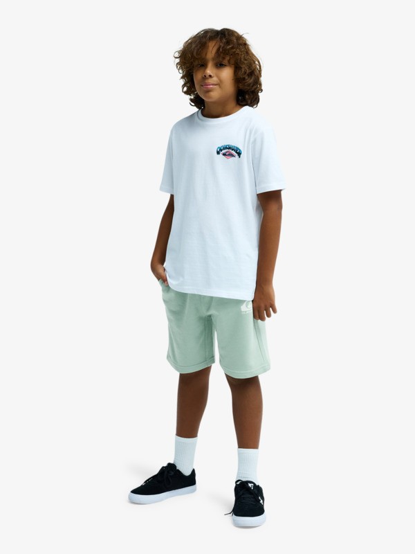 Easy Day - Elastic Waist Shorts for Boys 8 - 16  EQBFB03174