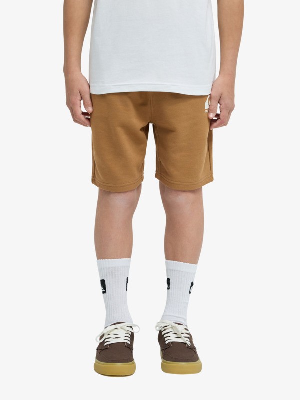 Easy Day - Elastic Waist Shorts for Boys 8 - 16  EQBFB03174