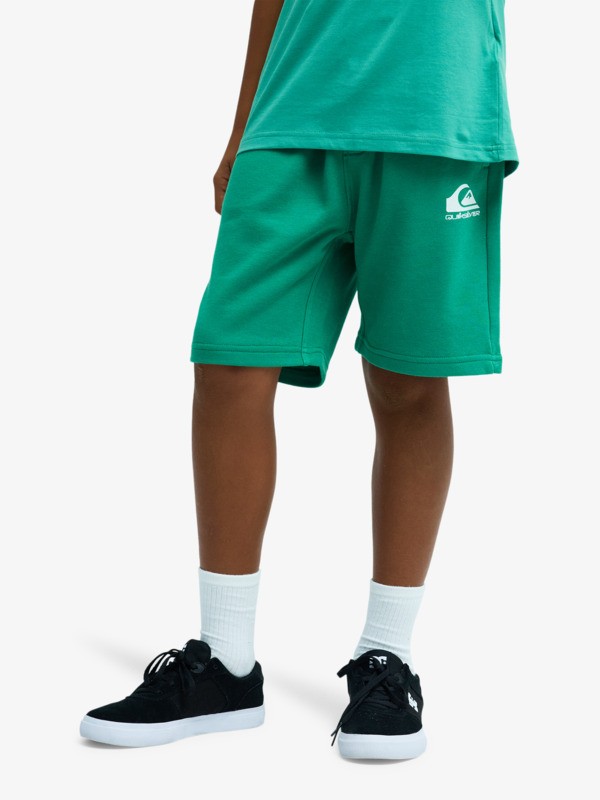 Easy Day - Elastic Waist Shorts for Boys 8 - 16  EQBFB03174