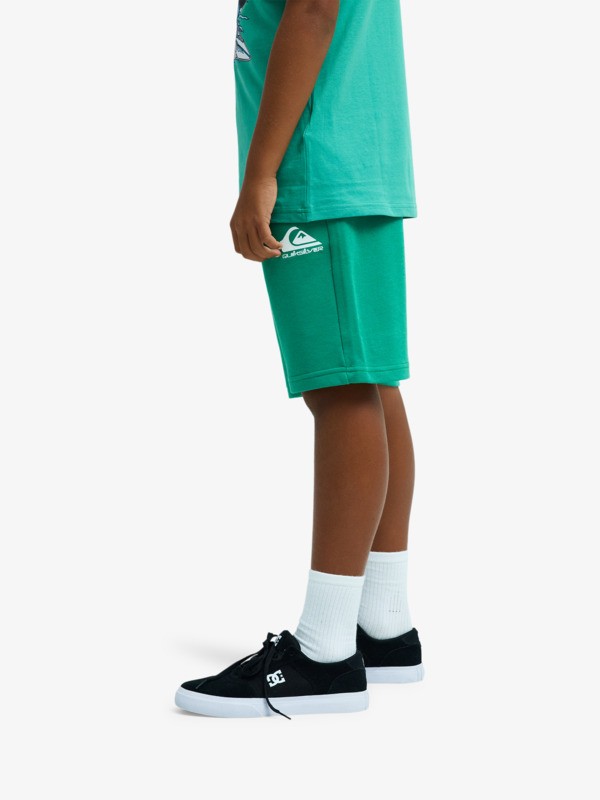 Easy Day - Elastic Waist Shorts for Boys 8 - 16  EQBFB03174