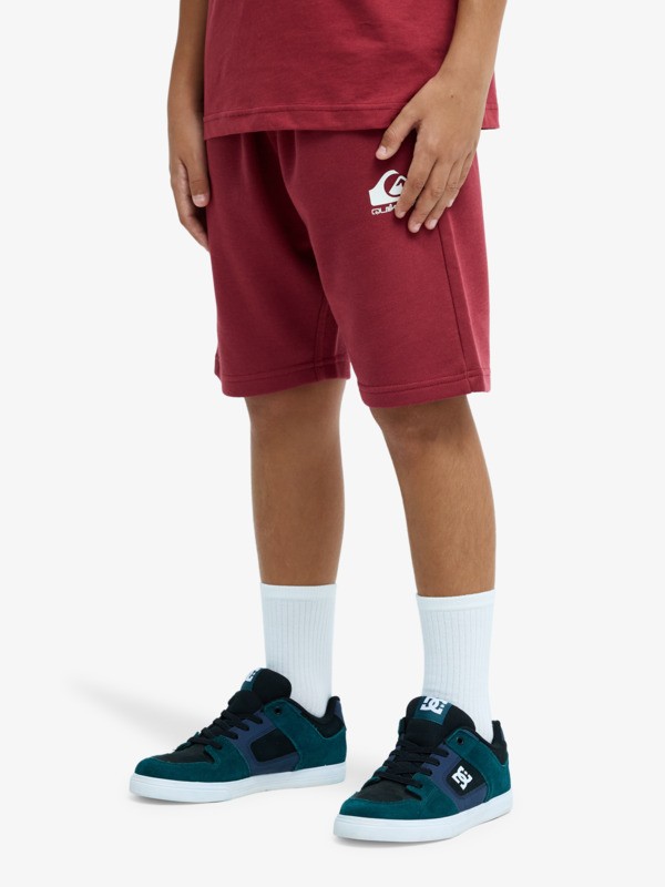 Easy Day - Elastic Waist Shorts for Boys 8 - 16  EQBFB03174