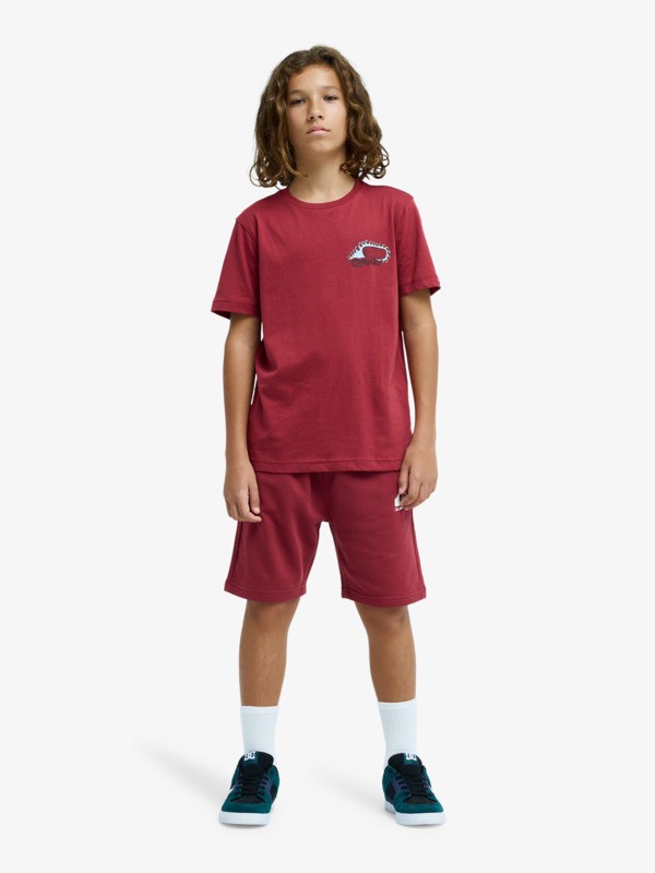 Easy Day - Elastic Waist Shorts for Boys 8 - 16  EQBFB03174