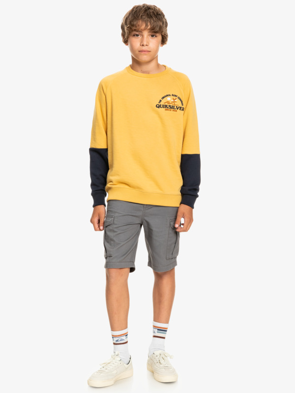 Open Spot - Sweatshirt for Boys 8-16 EQBFT03753