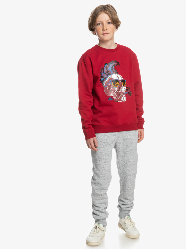Smoke - Sweatshirt for Boys  EQBFT03791