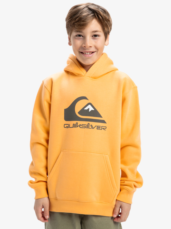 Big Logo - Pullover Hoodie for Boys 8 - 16  EQBFT03925