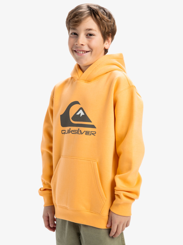 Big Logo - Pullover Hoodie for Boys 8 - 16  EQBFT03925