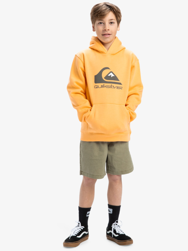 Big Logo - Pullover Hoodie for Boys 8 - 16  EQBFT03925