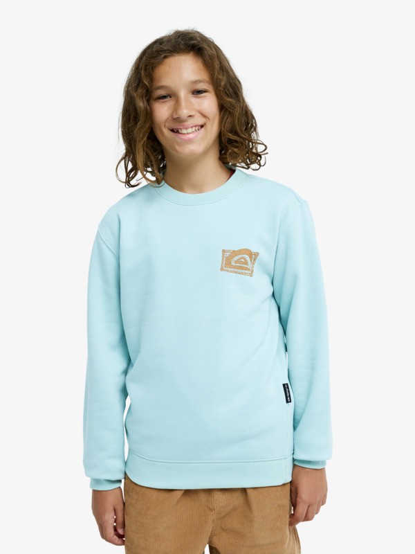 Graphic - Sweatshirt for Boys 8-16  EQBFT03980