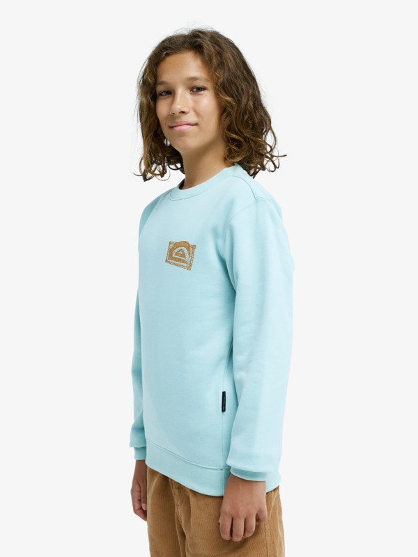 Graphic - Sweatshirt for Boys 8-16  EQBFT03980