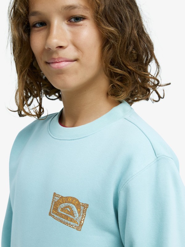 Graphic - Sweatshirt for Boys 8-16  EQBFT03980