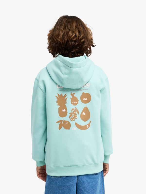 Graphic - Hoodie for Boys 8-16  EQBFT03982