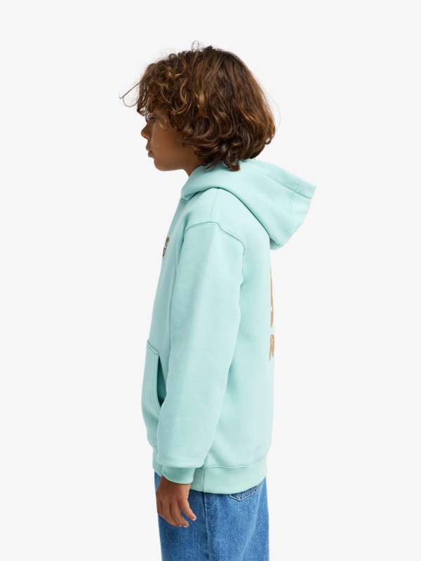 Graphic - Hoodie for Boys 8-16  EQBFT03982