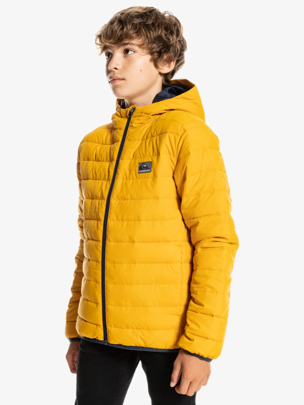 Scaly - Hooded Puffer Jacket for Boys  EQBJK03232