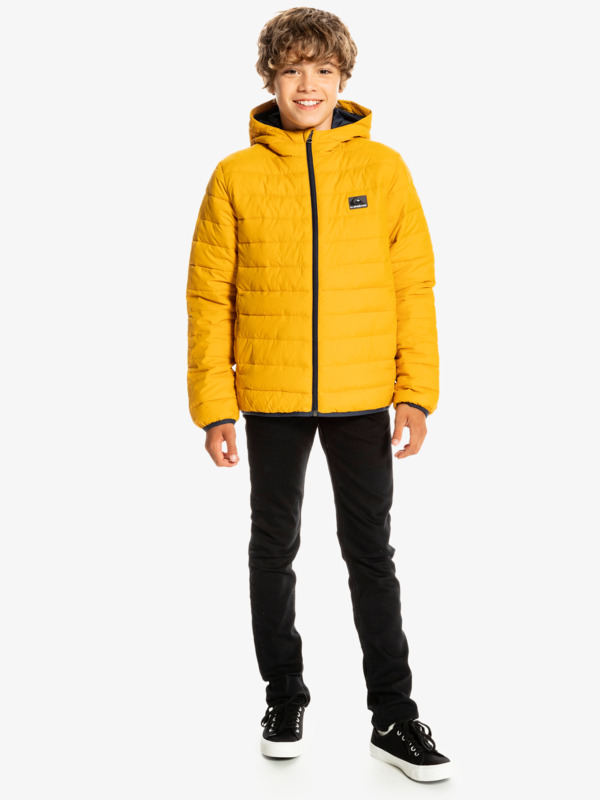 Scaly - Hooded Puffer Jacket for Boys  EQBJK03232