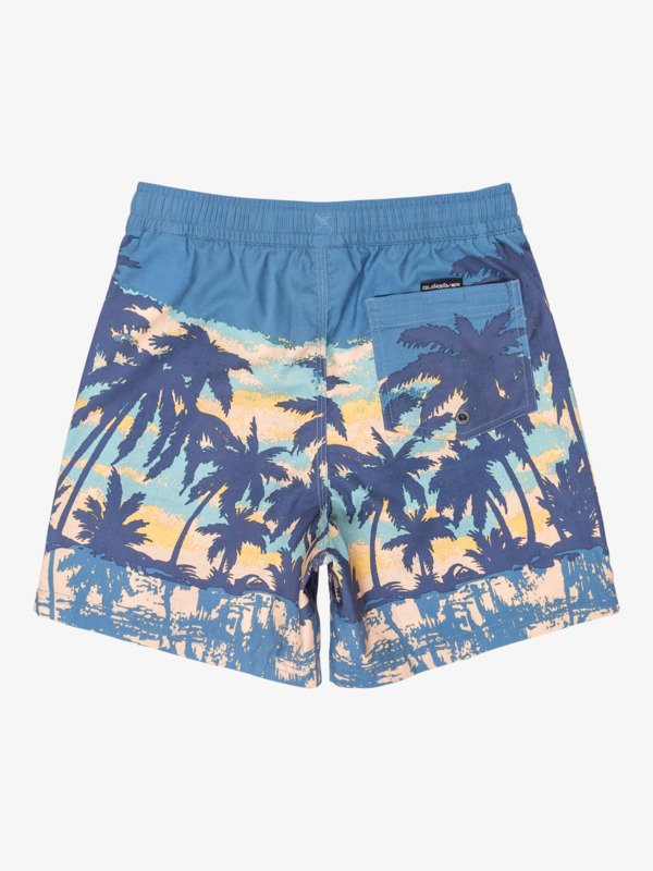 Everyday Straight 14" - Swim Shorts for Boys 8 - 16  EQBJV03501