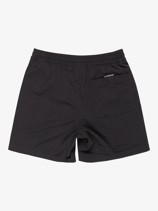 Everyday Vert 14" - Swim Shorts for Boys 8 - 16  EQBJV03512