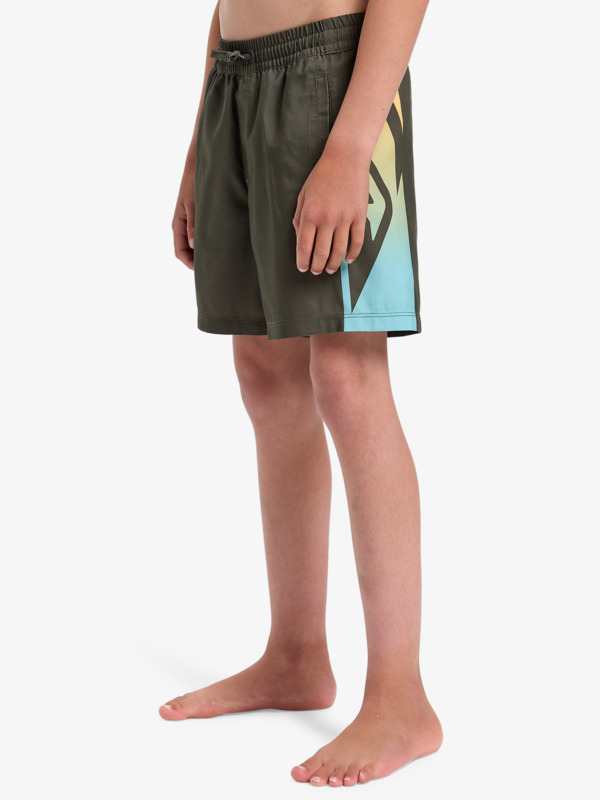 Everyday Holmes 14" - Swim Shorts for Boys 8 - 16  EQBJV03516