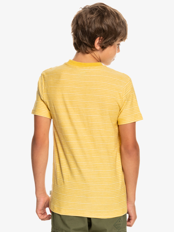 Kentin - Short Sleeve T-Shirt for Boys 8-16  EQBKT03316