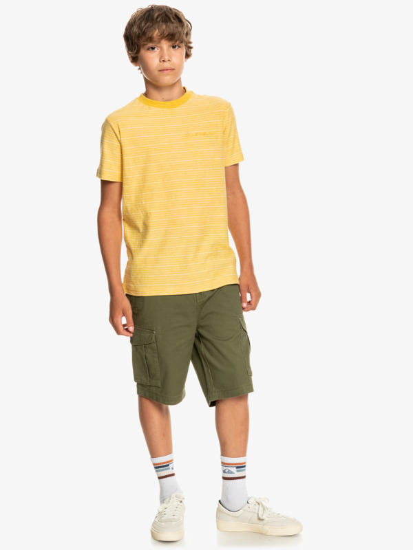 Kentin - Short Sleeve T-Shirt for Boys 8-16  EQBKT03316