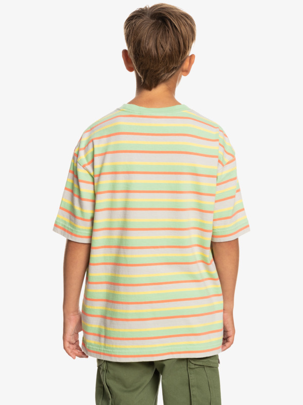 New Stripe - T-Shirt for Boys 8-16  EQBKT03327