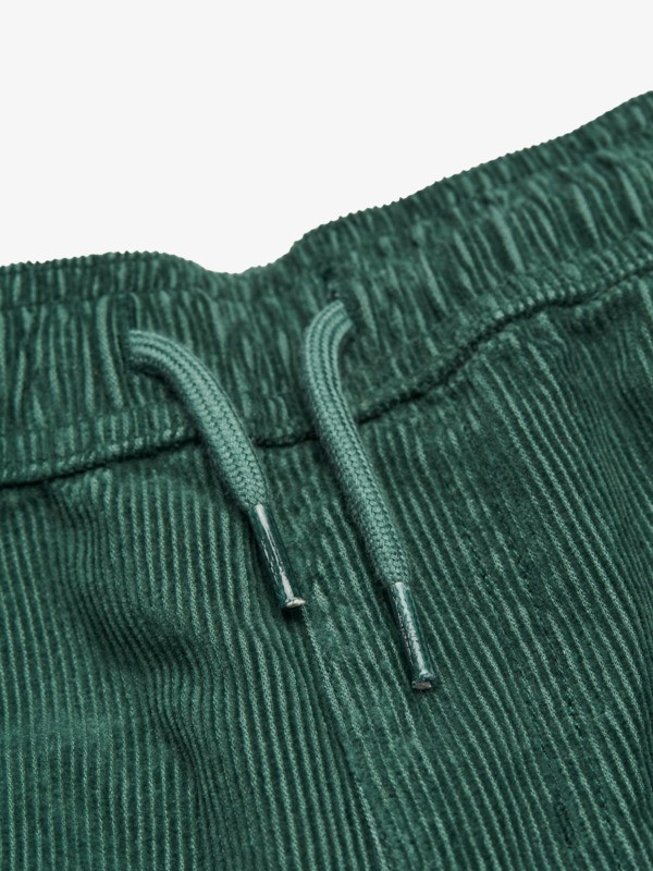 Taxer Cord  EQBNP03126