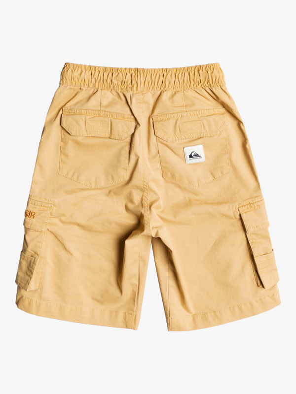 Cargo To Surf 19" - Shorts for Boys  EQBWS03347