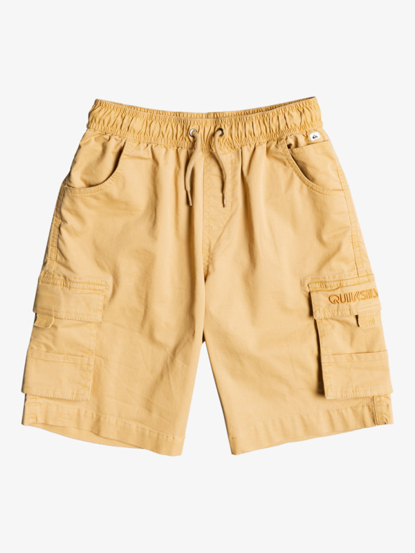 Cargo To Surf 19 Shorts for Boys Quiksilver