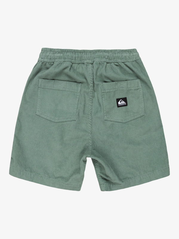 Taxer - Elastic Waist Walkshorts for Boys 8 - 16  EQBWS03371