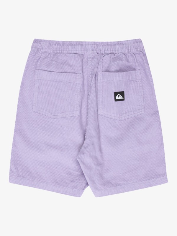 Taxer - Elastic Waist Walkshorts for Boys 8 - 16  EQBWS03371